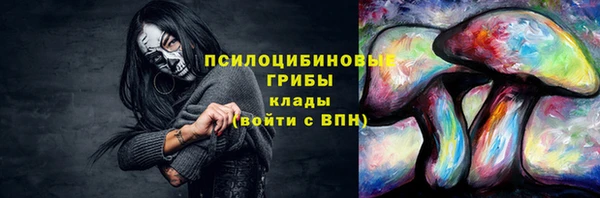 мдпв Киренск